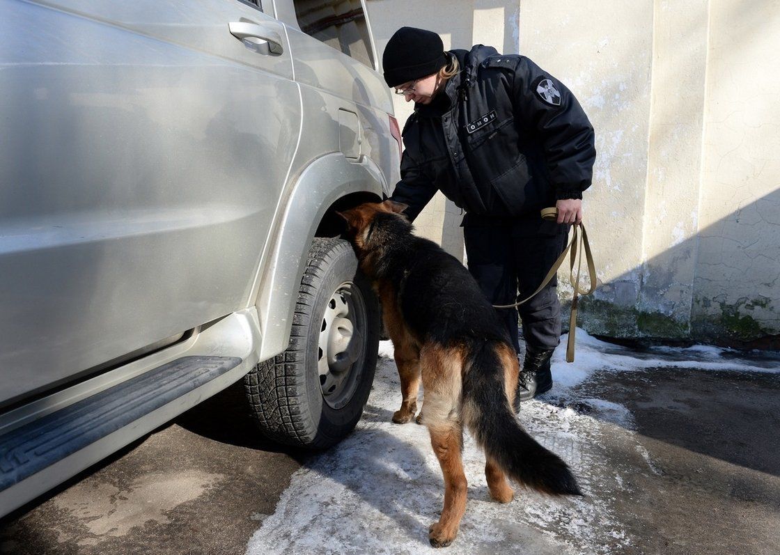 В Ленобласти будут судить экс-начальника полиции, который угонял  ведомственные автомобили