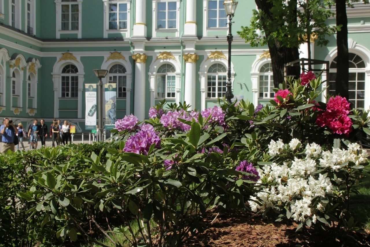 Петербужцев ждет летняя погода