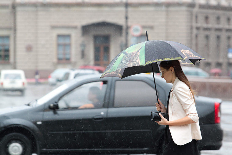 Рабочая неделя в Петербурге закончится дождем и теплом 