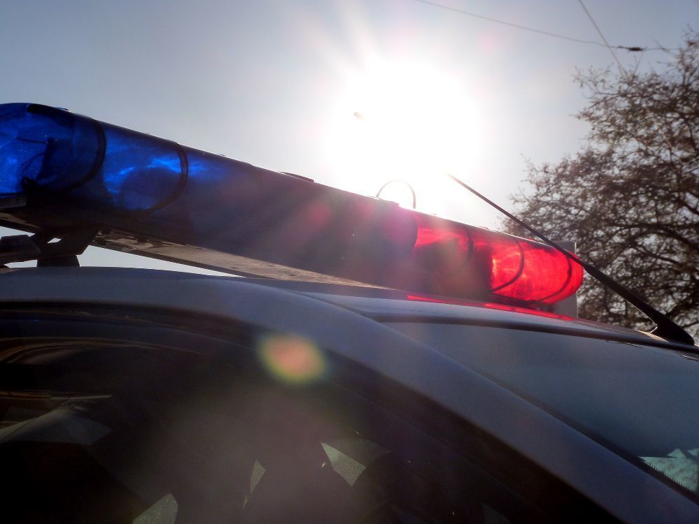 В заброшенном пионерлагере лежал скелет с золотыми зубами 