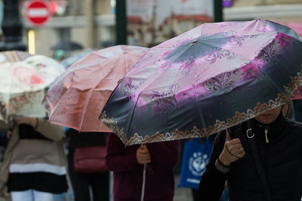 Синоптики пообещали петербуржцам дожди и похолодание 