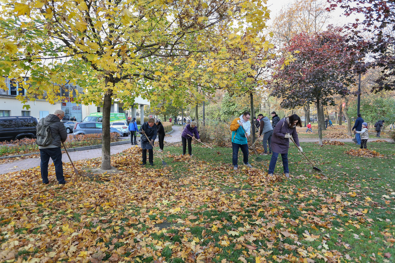 В Дне благоустройства приняли участие 219 тысяч петербуржцев