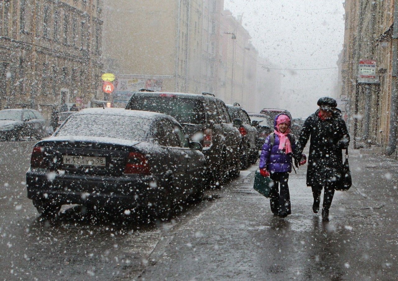 Первый снег выпал в Петербурге