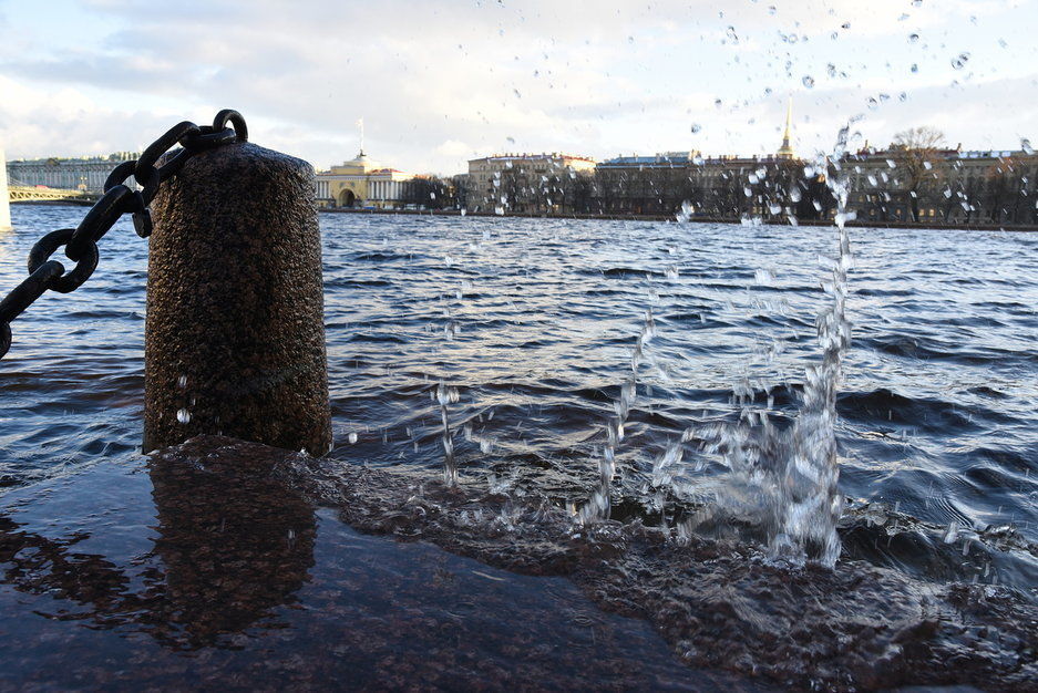Петербуржцев предупредили о сильном ветре 