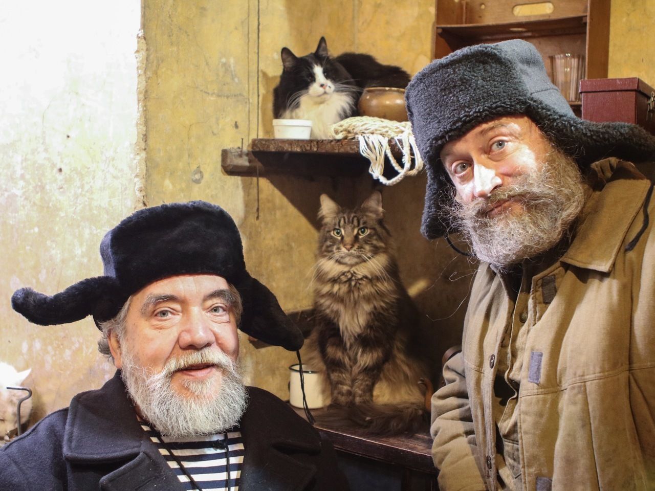 Из оракулов в актеры: кот Ахилл снялся в фильме «Митьков» о послеблокадном Ленинграде