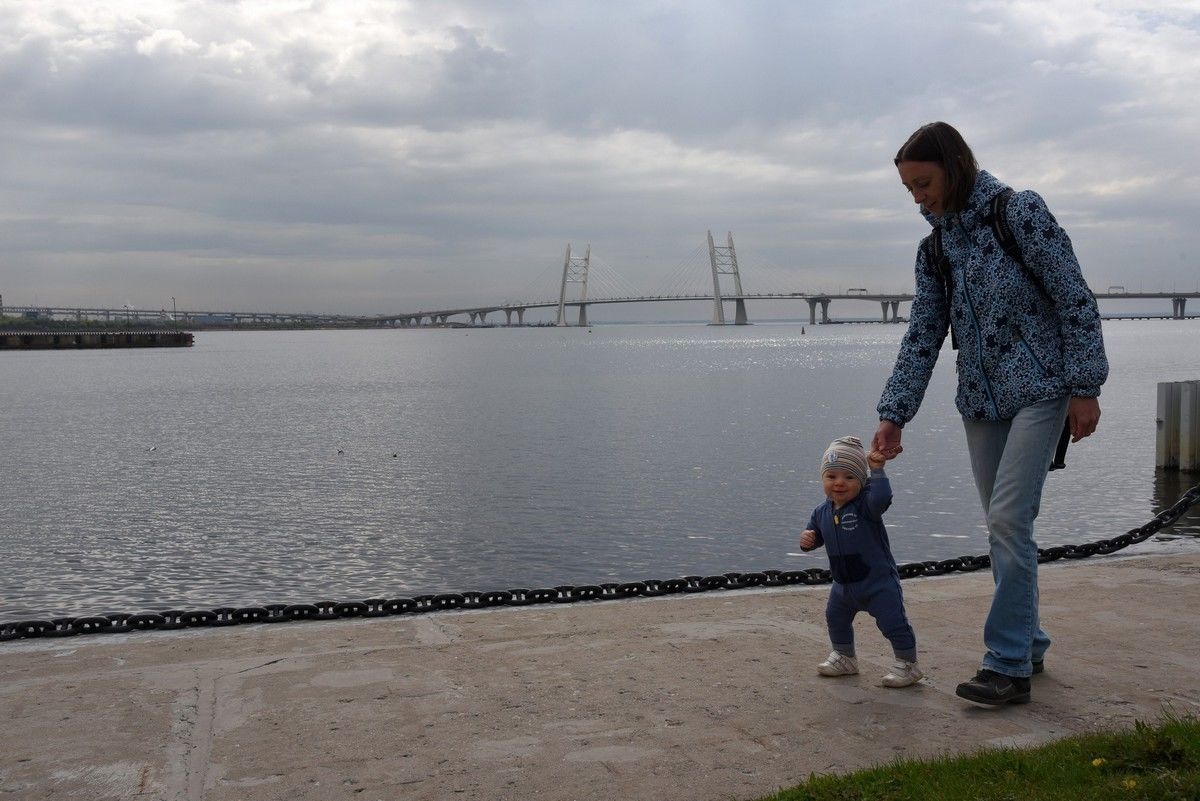 Жилищная инспекция назвала лучшие районы Петербурга