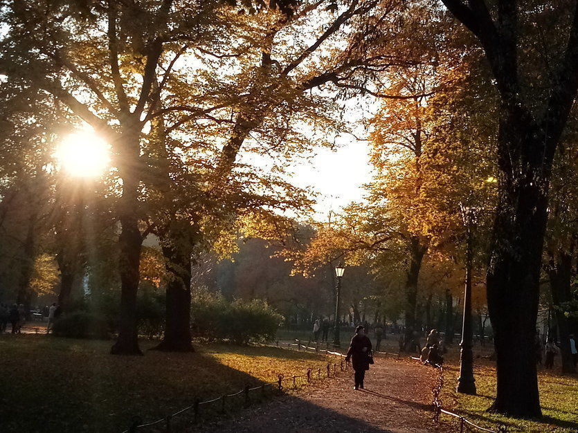 В Петербурге ожидается гололедица и ноль градусов 