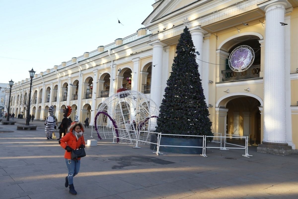 В Петербурге к Новому году установят 66 елей