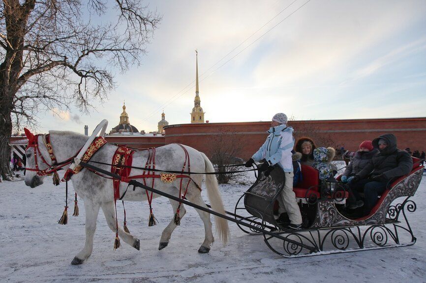 Петербург возглавил рейтинг городов, популярных у туристов с детьми