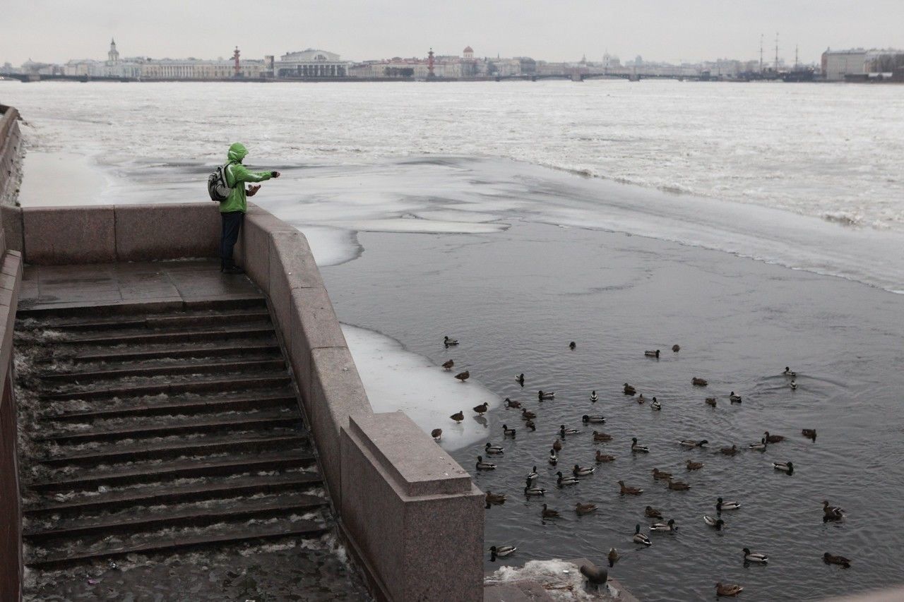 Морозы в Петербурге сменяет оттепель
