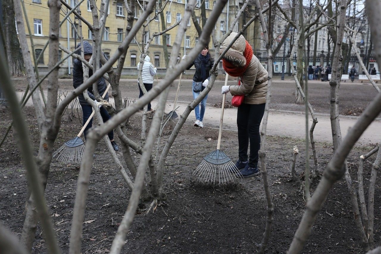 В Петербурге коммунальщики очистили от грязи и пыли более 70% дворовых территорий