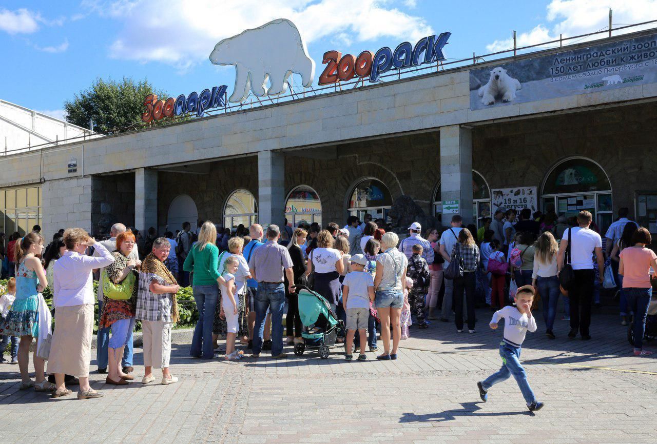 Лето в Петербургском зоопарке