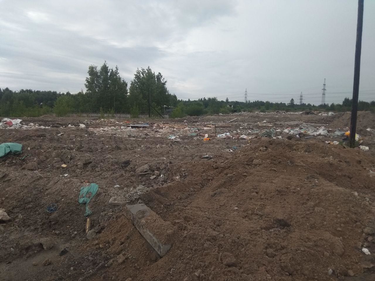 За организацию несанкционированных свалок будут наказывать уголовными делами