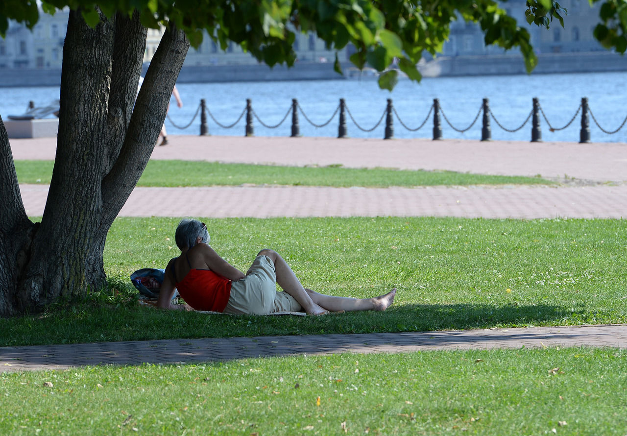 Воскресенье в Петербурге выдастся солнечным и теплым
