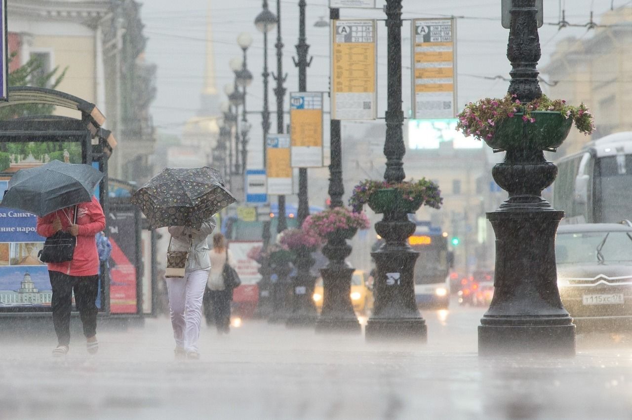 Петербуржцев ждут ливни и штормовой ветер 