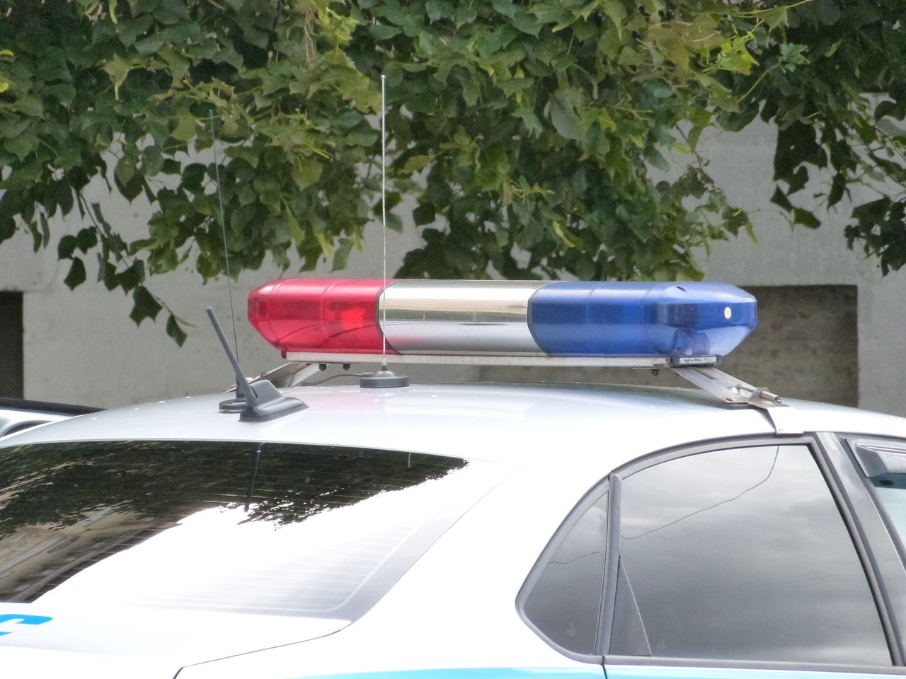 Каршеринговый автомобиль сбил двух подростков на пешеходном переходе в Купчино 