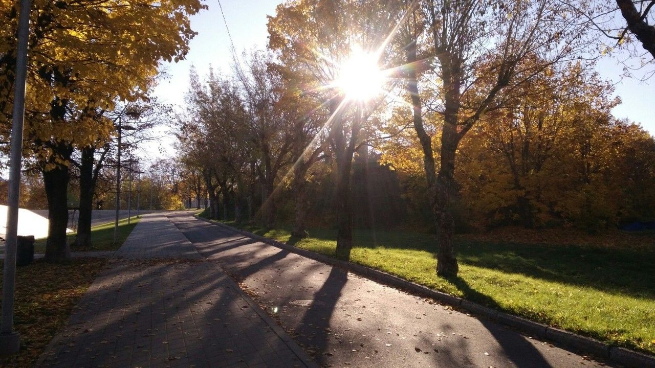 Что произошло в городе на Неве 4 октября