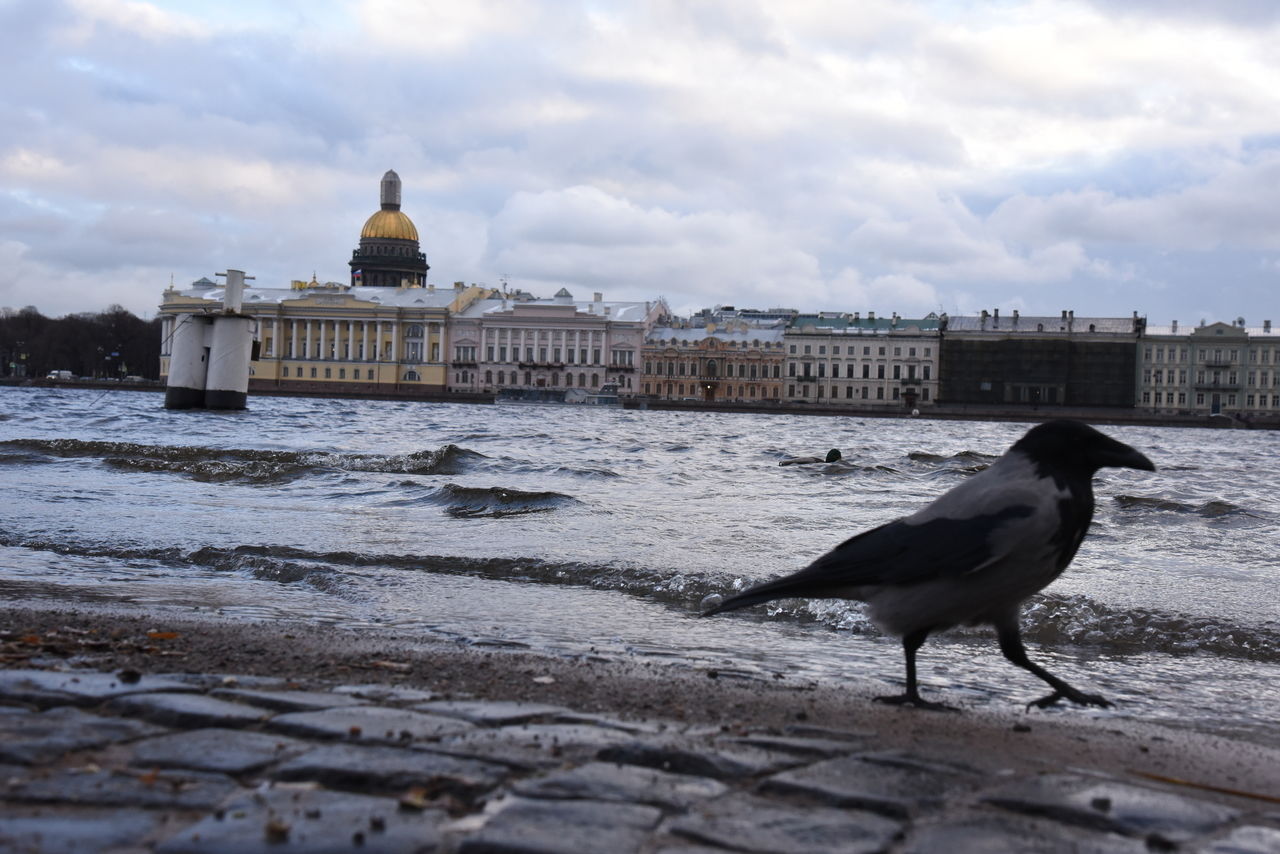 В выходные в Петербурге будет относительно тепло, дождливо и ветрено 
