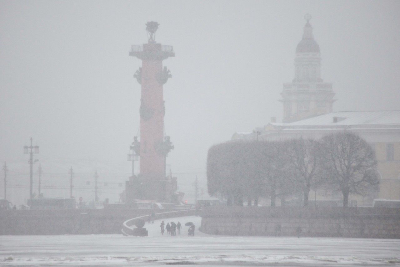 Зимой в Петербурге заработает круглогодичная экологическая служба 