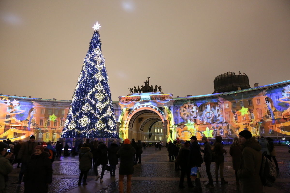 Власти Петербурга хотят вновь устанавливать живую ель на Дворцовой площади в преддверии Нового года 