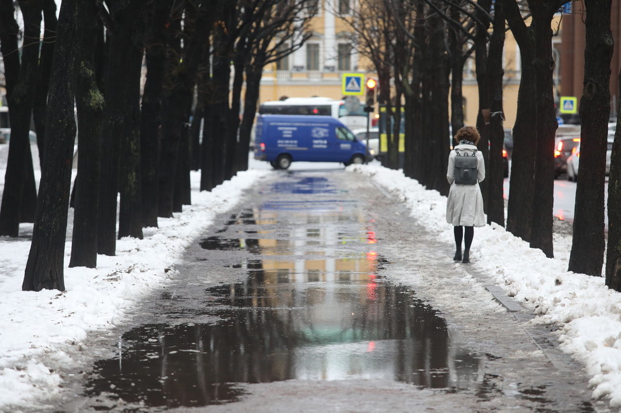 В воскресенье в Петербурге ожидаются дождь и порывистый ветер 