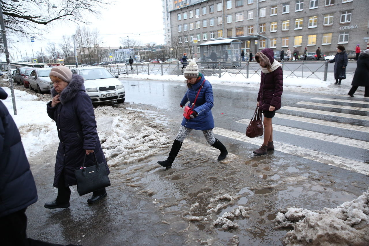 В Петербург придут похолодание, снег и сильный ветер 