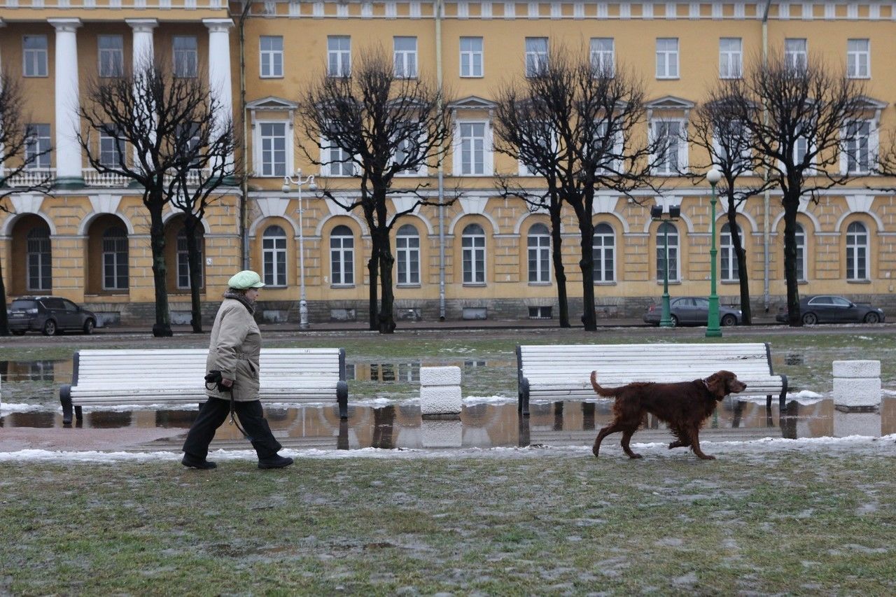 Сегодня Петербург может побить очередной температурный рекорд 