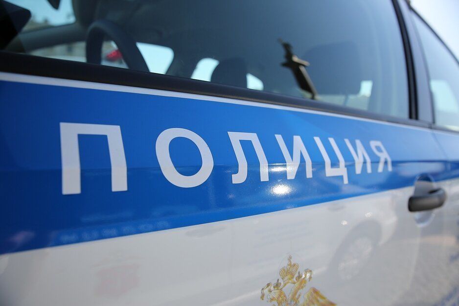 Полиция задержала таксиста-мигранта, ограбившего пассажира в Сестрорецке 