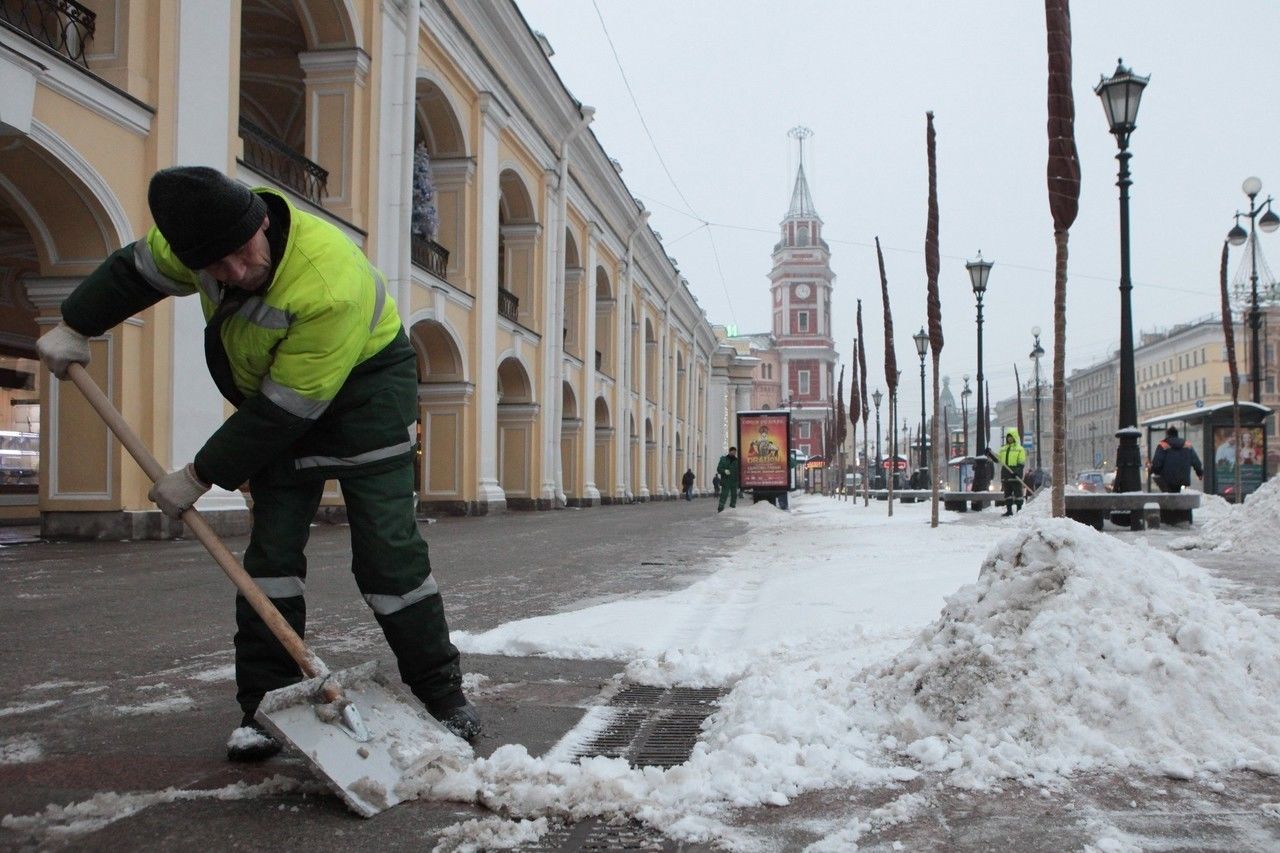 ФАС России подтвердила наличие «снежного картеля» в Петербурге