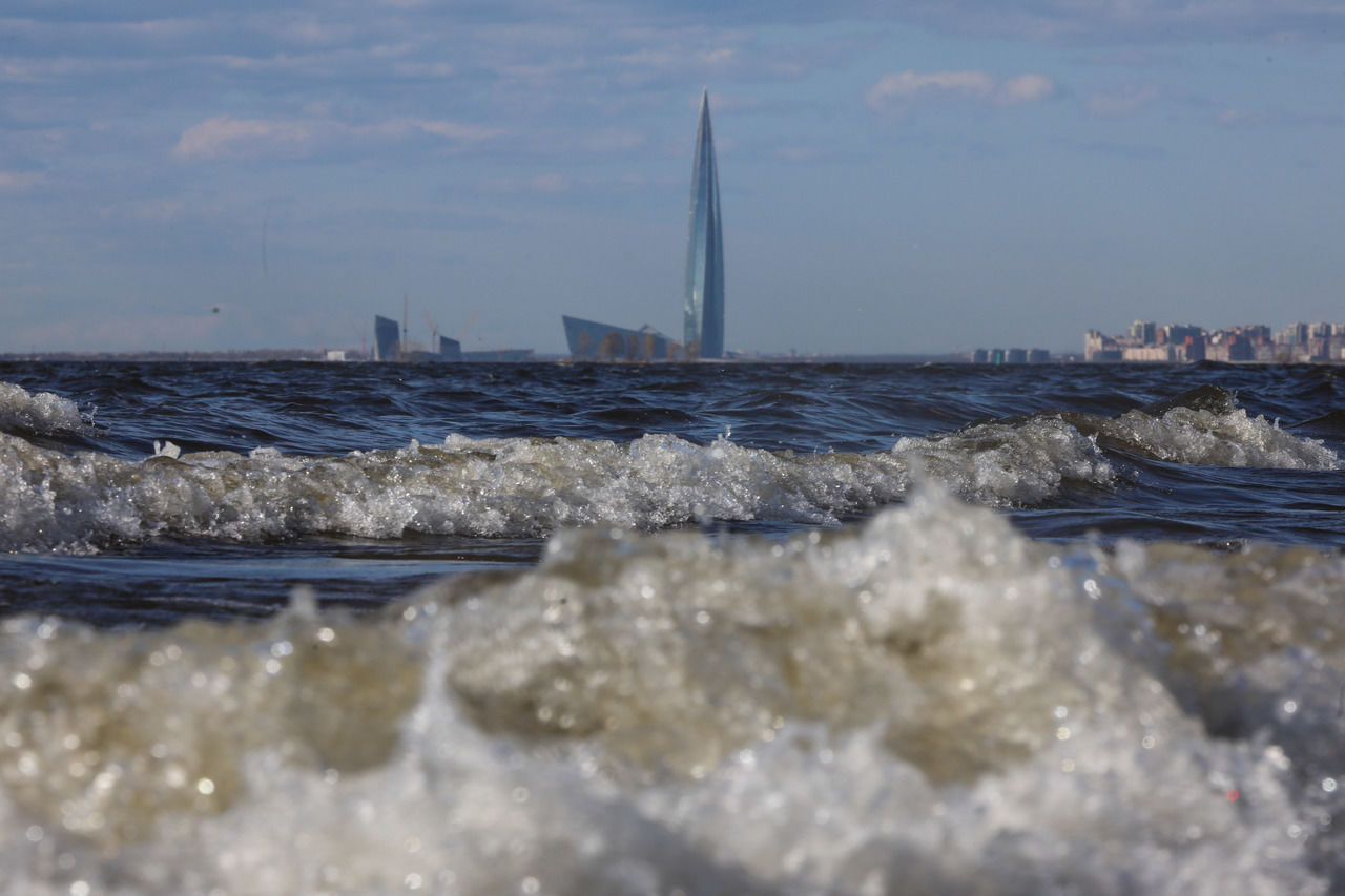 Петербург: главное за день 19 мая