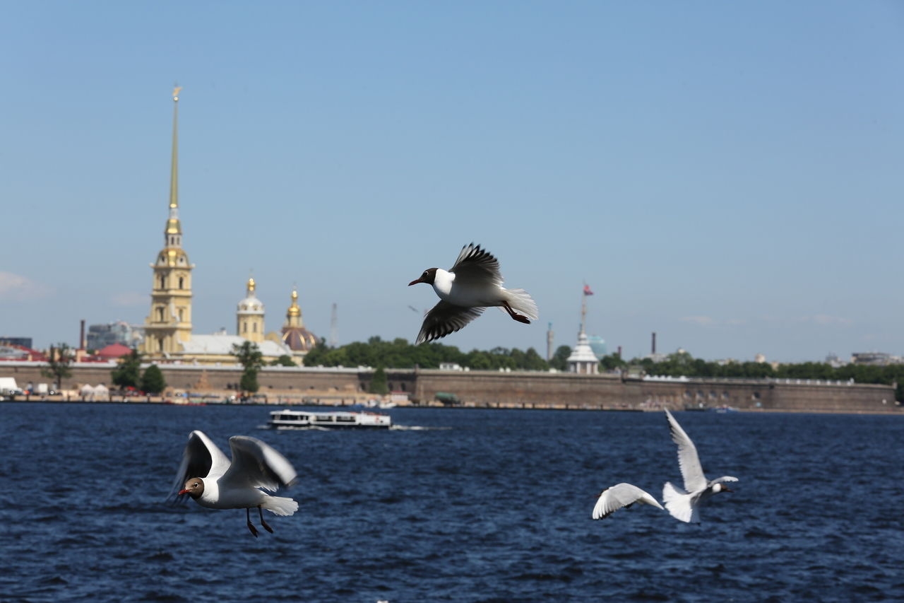 3 июля: как в Петербурге идет адаптация после COVID-19
