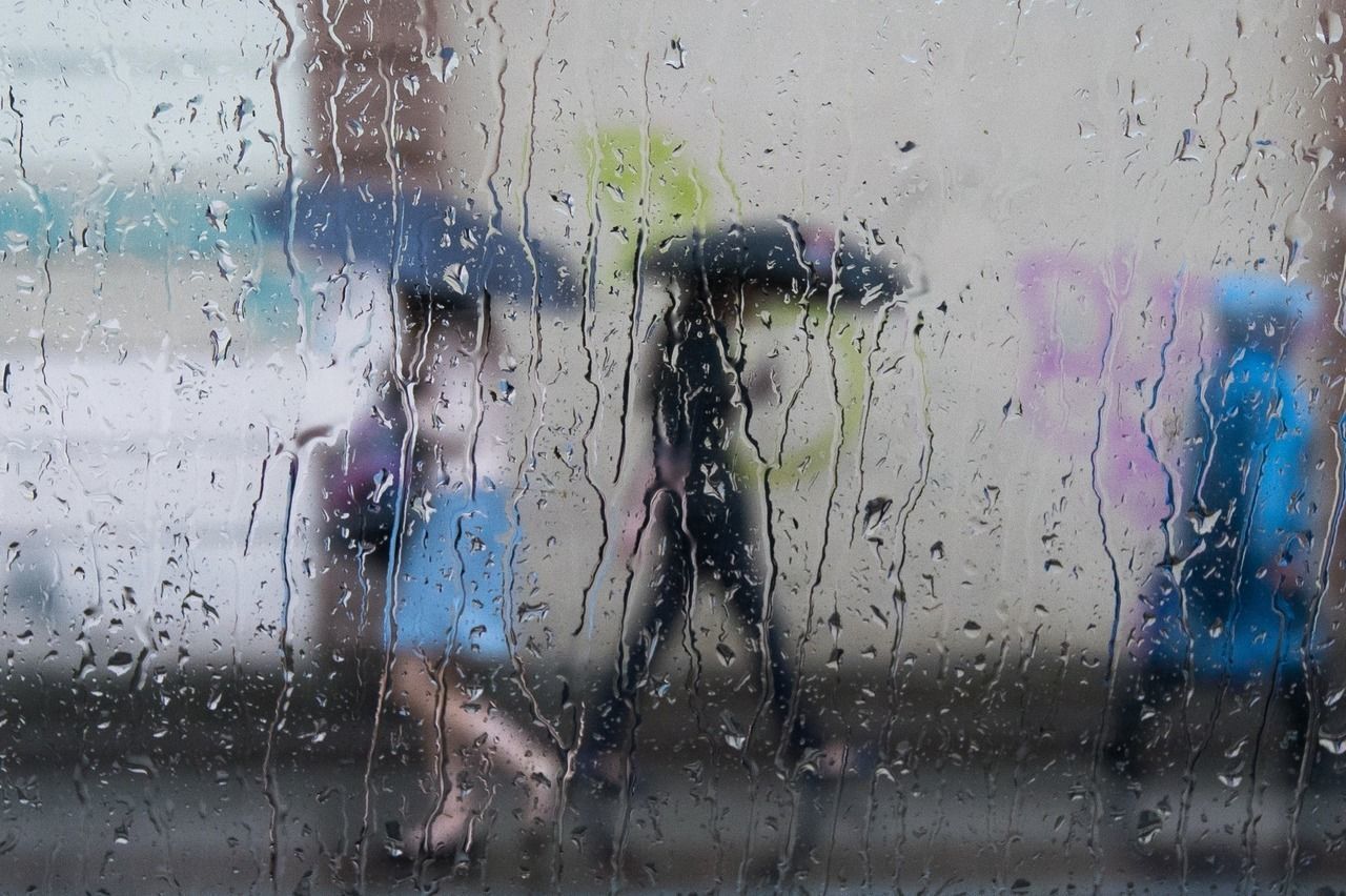 Главный синоптик Петербурга вновь предупредил о сильнейших дождях 