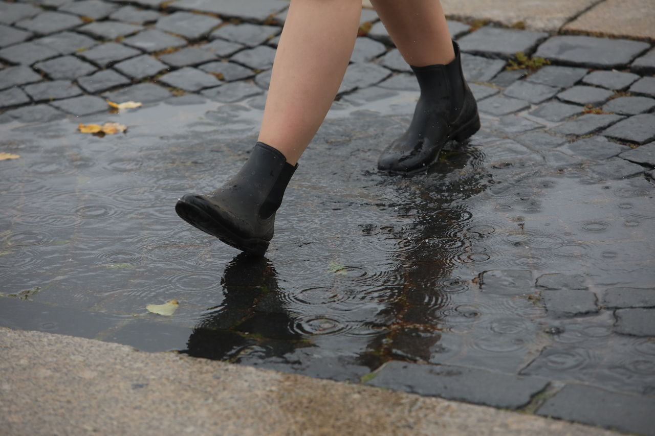Петербуржцы встретят конец рабочей недели с холодом и дождями 