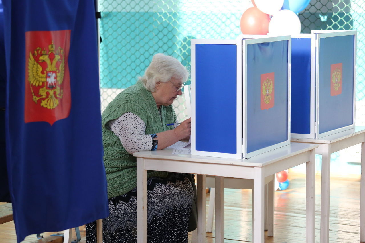 Почти тысяча избирательных участков будут работать на выборах губернатора Ленобласти 