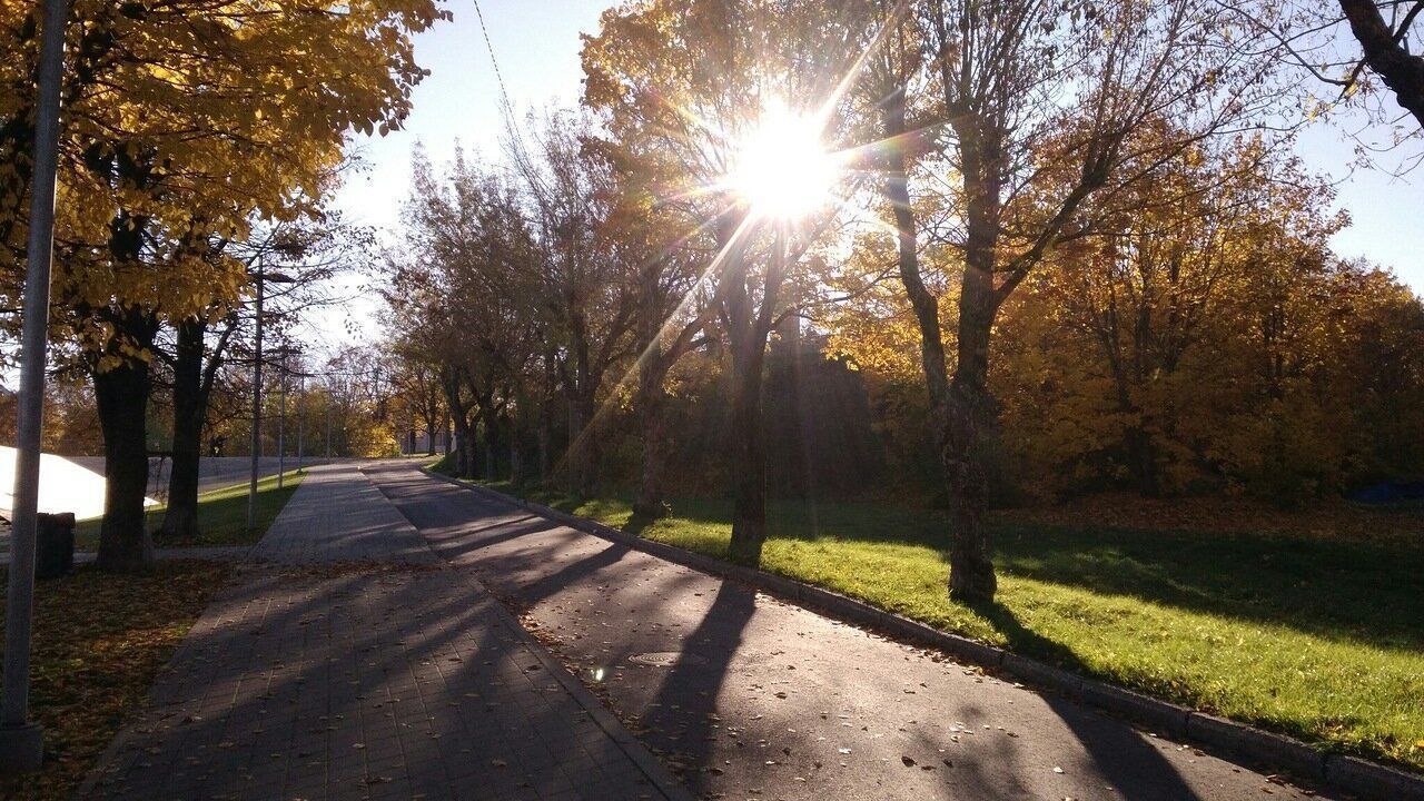 Петербуржцам назвали самые важные витамины для здоровья осенью