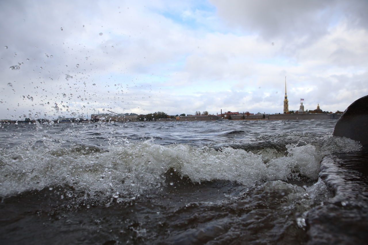 В МЧС рассказали о последствиях штормового ветра для деревьев и светофоров Петербурга 