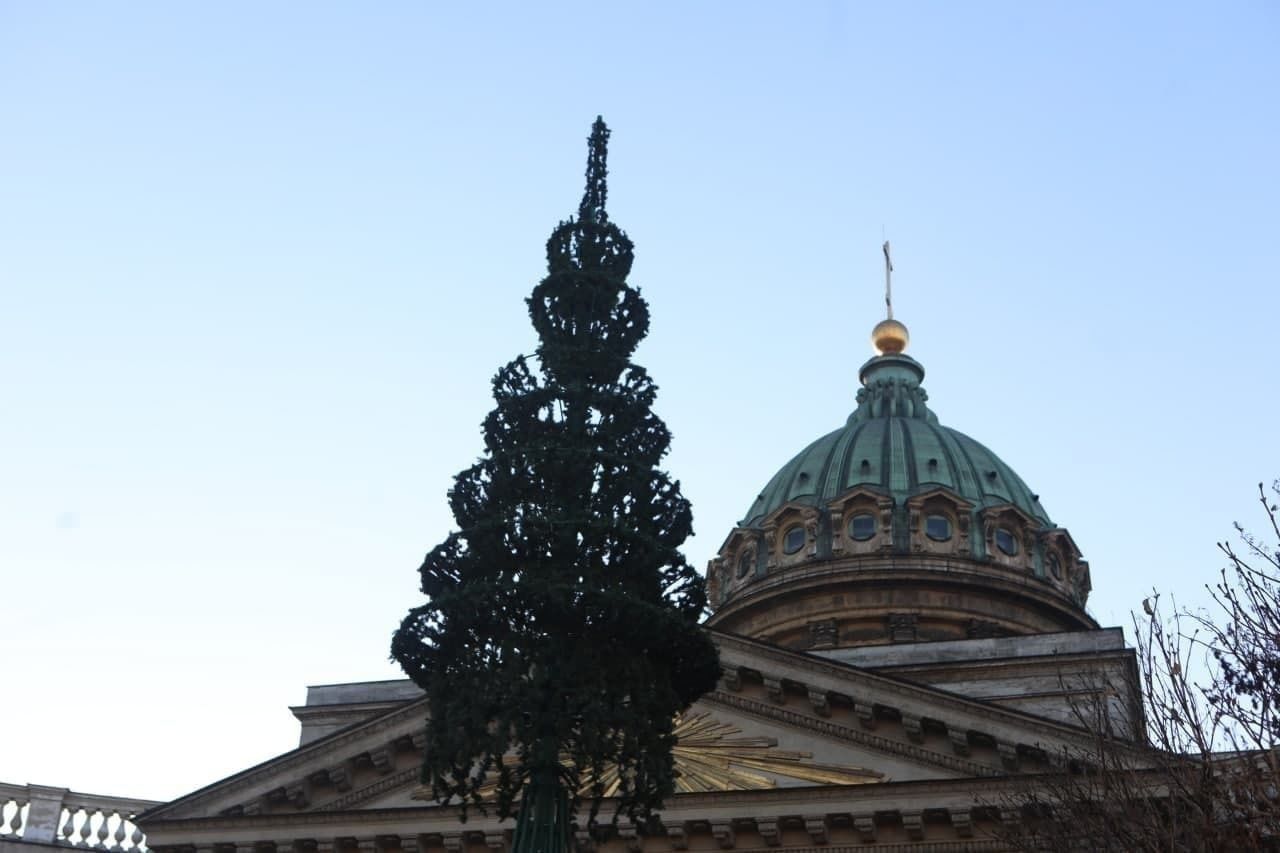 Фото: как будет выглядеть новогодняя ёлка у Казанского собора 