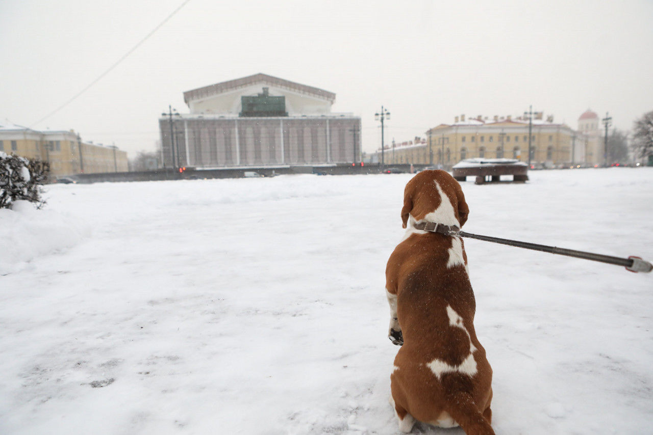 В понедельник в Петербург придет потепление