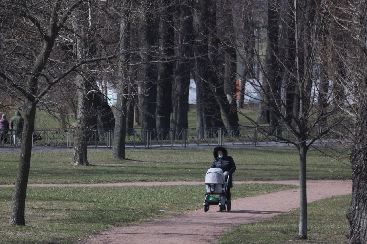ЗакС добавил Петербургу скверов и парков