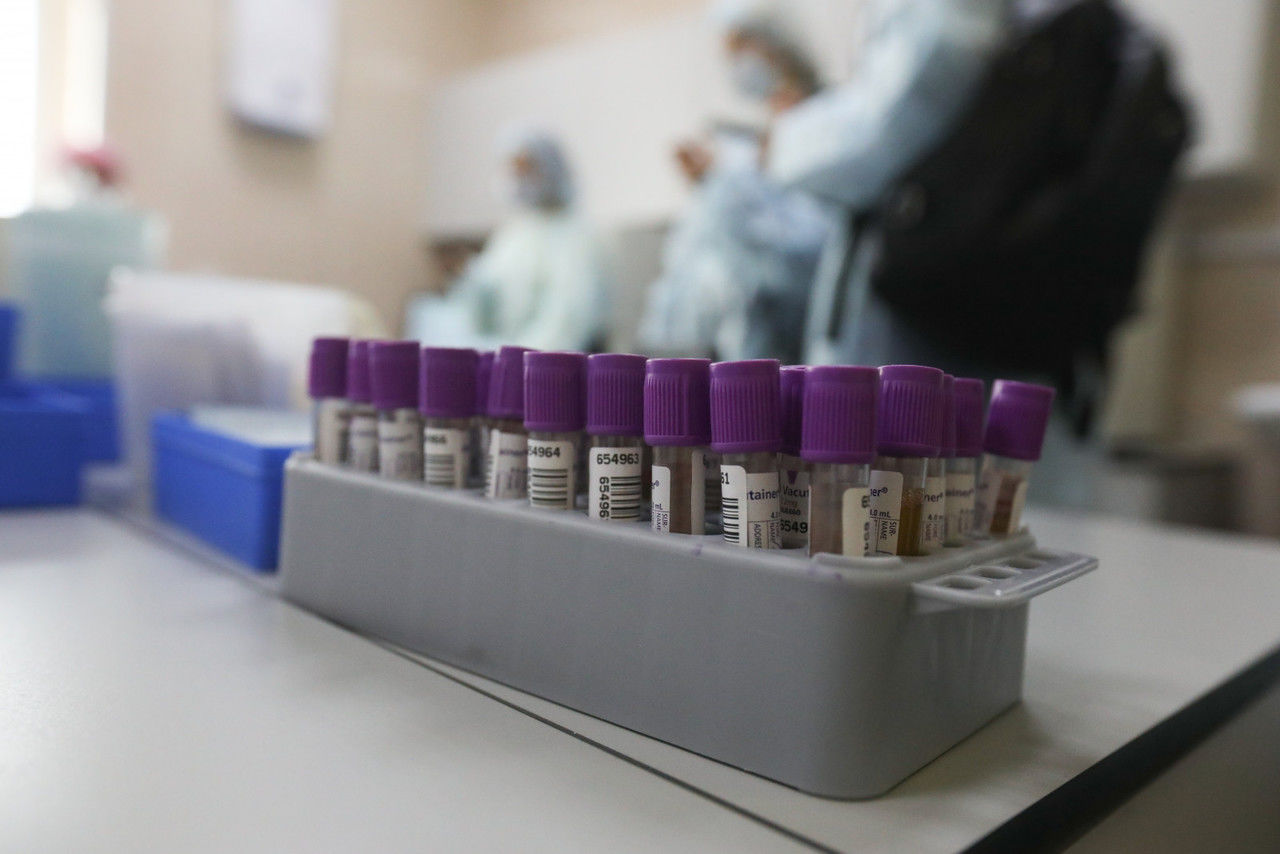 За последние сутки в Петербурге тест на коронавирус сдали 11203 человека