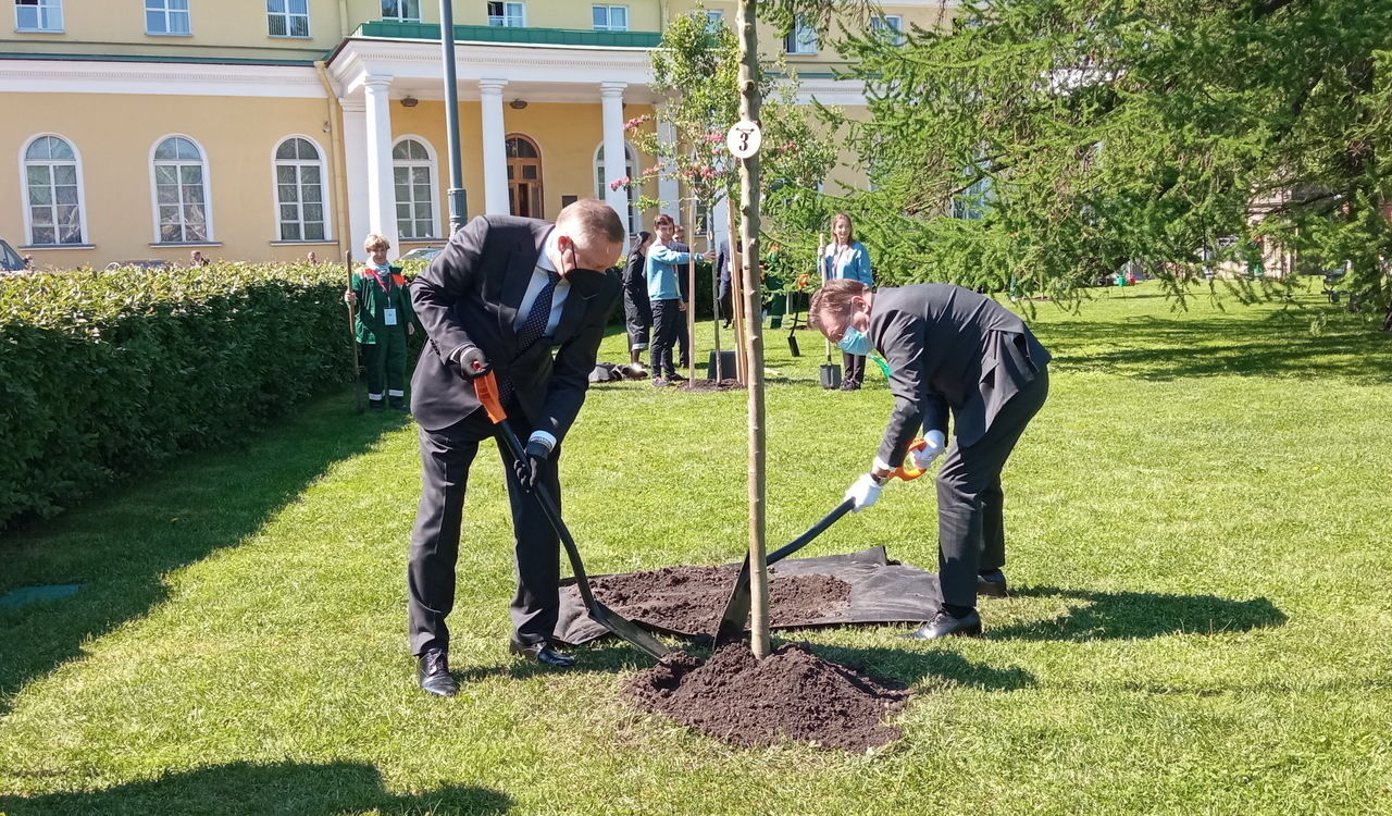 Высадили участника сво. Матвиенко сажает дерево. Матвиенко сажает дерево в Лесотехнической Академии. Матвиенко и Беглов в Таврическом.