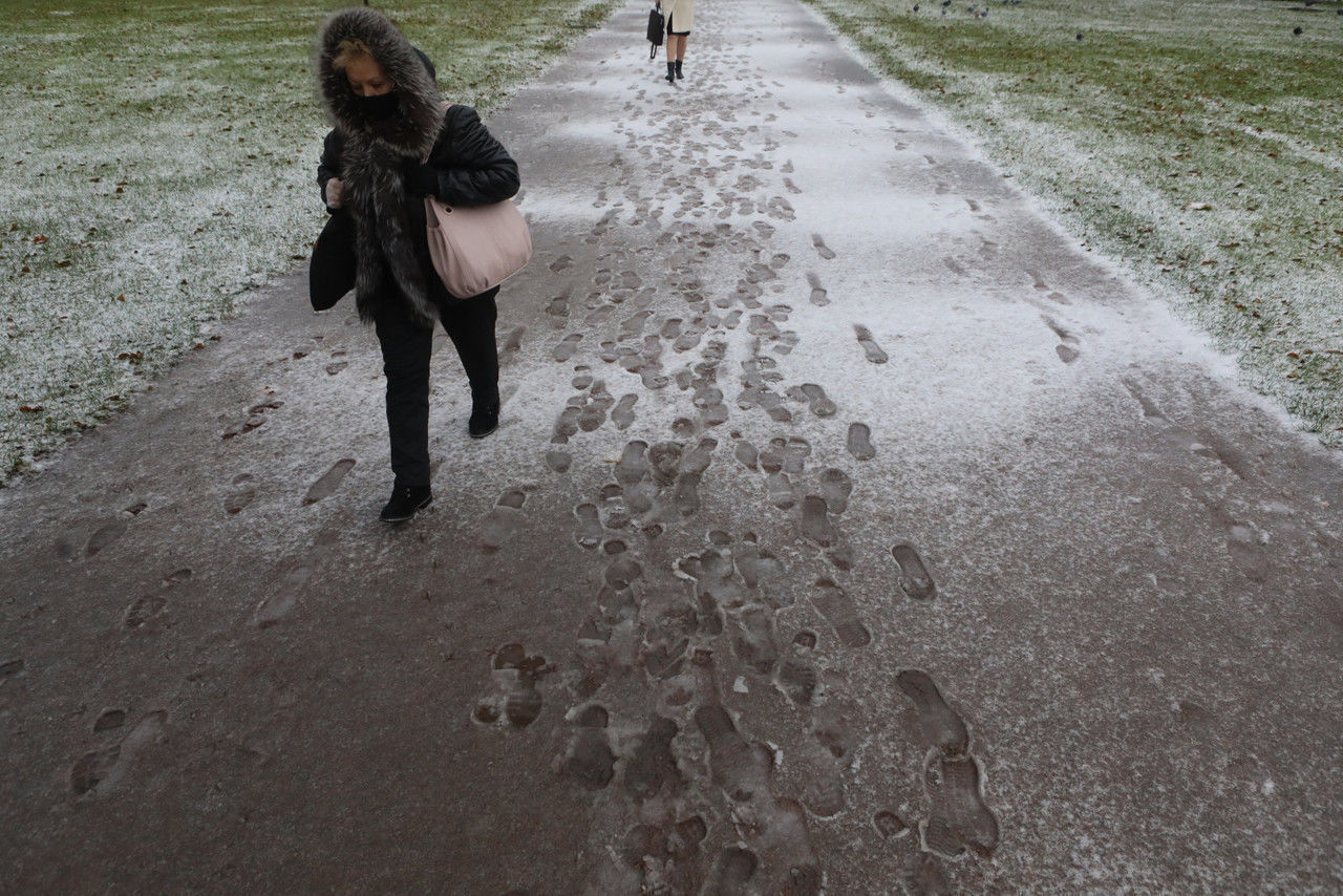 Мокрый снег и дожди ждут жителей Ленобласти во вторник