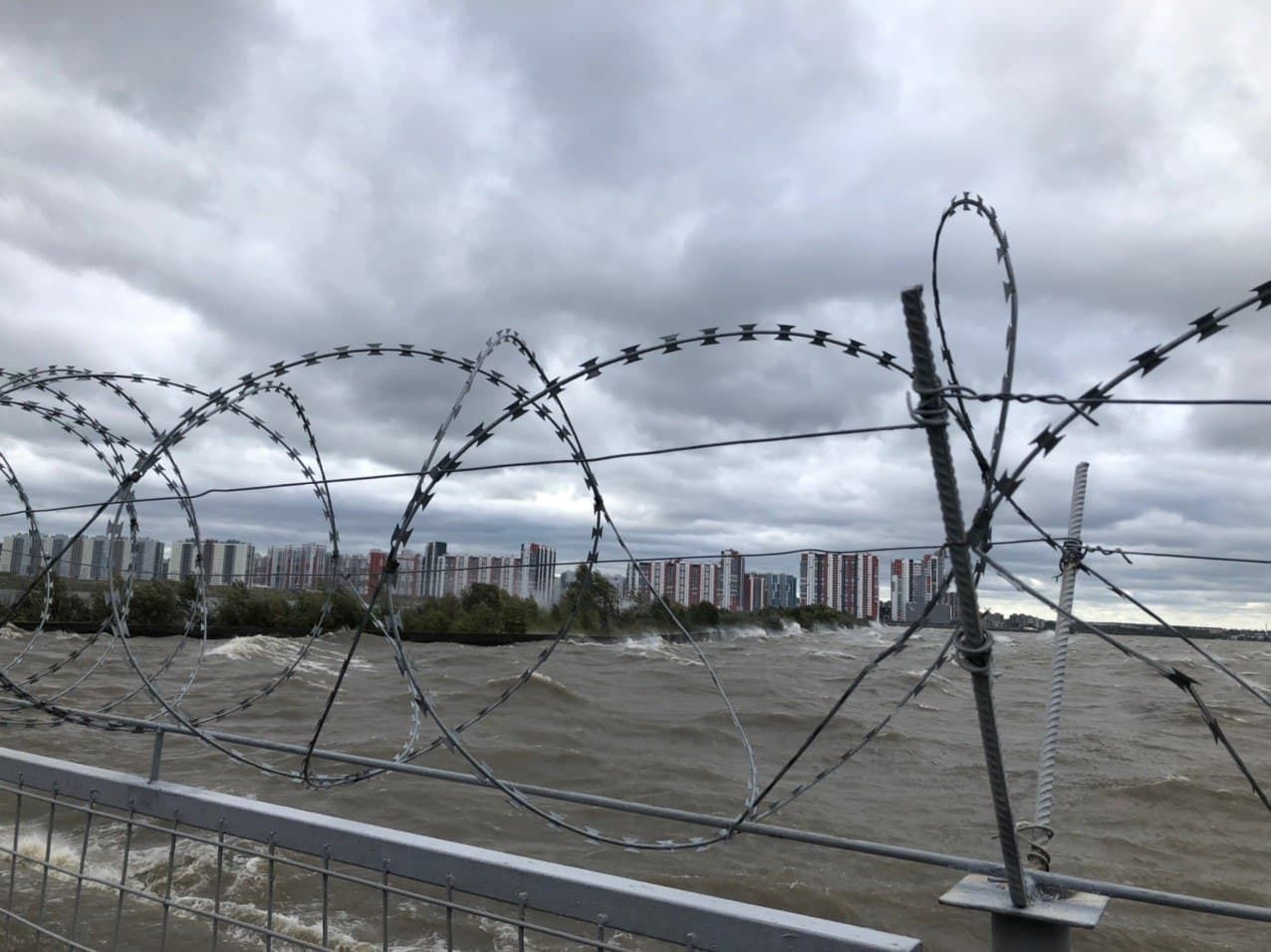 В Петербурге ждут штормовой ветер до 30 метров в секунду