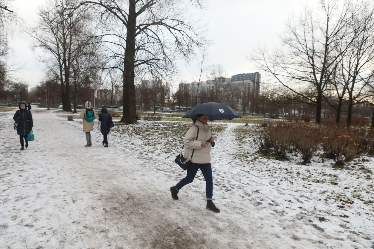 В Петербурге выпал первый снег: фото