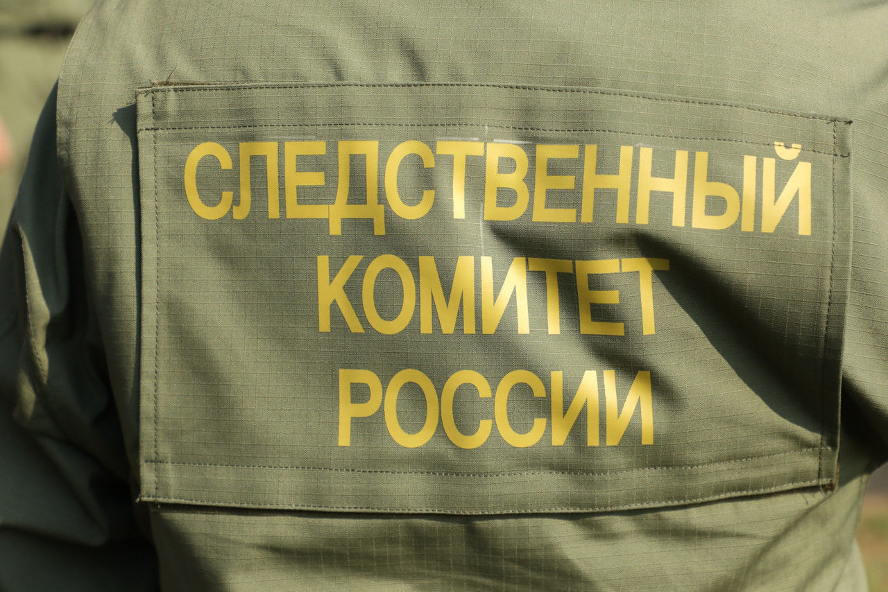 Следователи проверят остановку электрички под Тихвином в 20-гадусный мороз